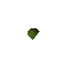 Guam seed